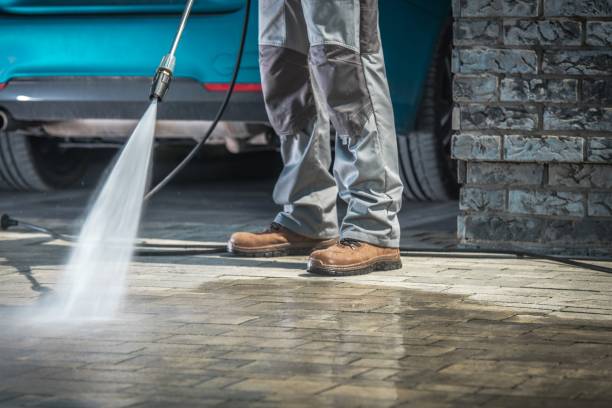 Best Soft Washing  in Brownsburg, IN